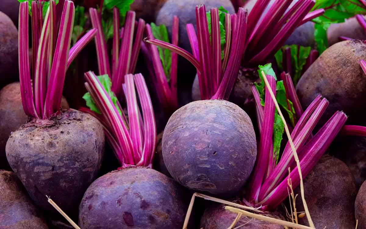 Beetroot Health Benefits | బీట్‌రూట్‌ను రోజూ ఎందుకు తినాలో తెలుసా..? కార‌ణం తెలిస్తే వెంట‌నే తిన‌డం మొద‌లుపెడ‌తారు..!