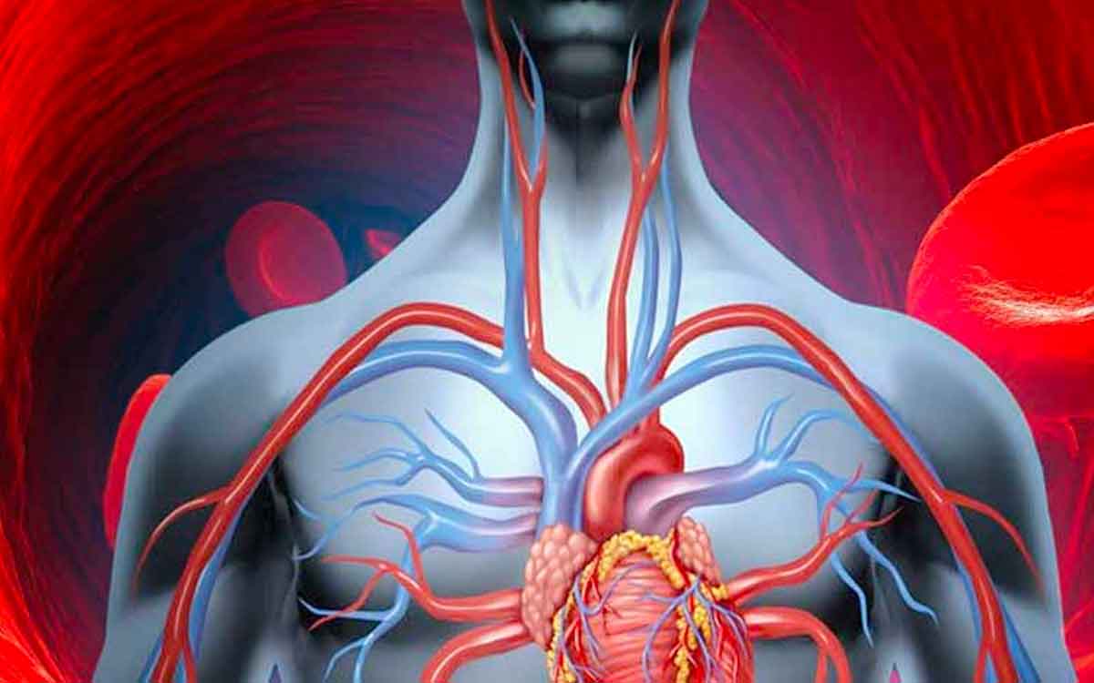 Blood Purifying Foods | ఈ ఆహారాల‌ను తింటే చాలు.. ర‌క్తం క‌డిగేసిన‌ట్లు క్లీన్ అవుతుంది..!