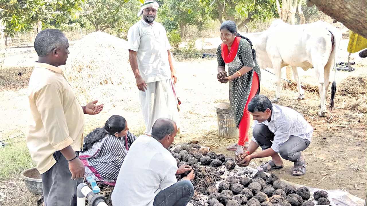 విత్తులోనే ఉంది భవిష్యత్తు