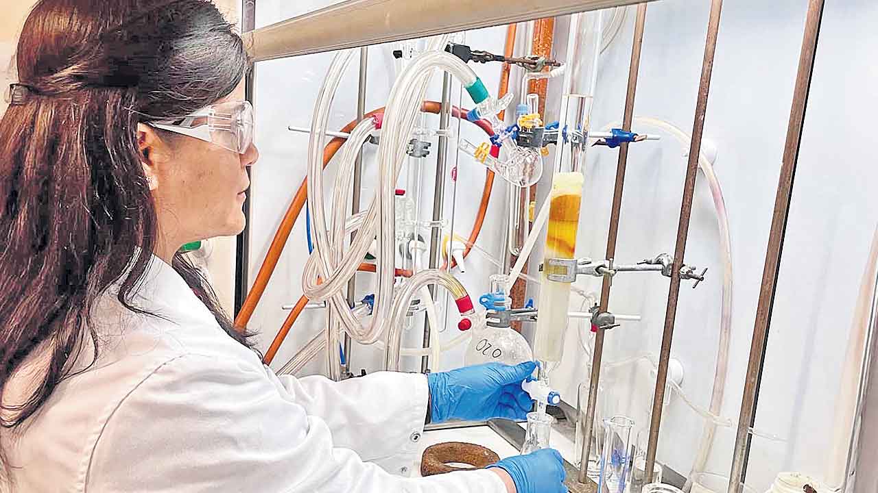 Cancer | క్యాన్సర్‌ పనిపట్టే బంగారు ఔషధం!