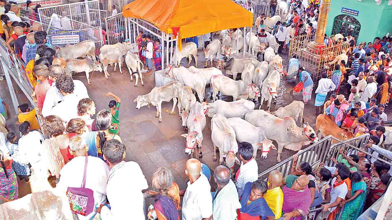 Rajanna Kodelu | ఒత్తిళ్లే రాజన్న కోడెలకు శాపాలు.. అడ్డుకట్ట పడేదెలా?
