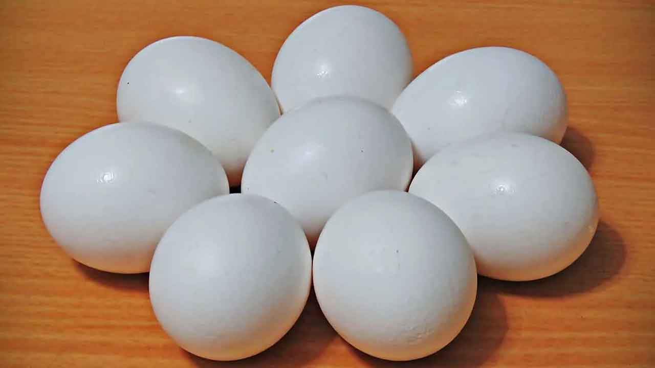 Eggs Price | పెరిగిన కోడిగుడ్ల ధరలు.. కేసు గుడ్ల కంటే కేజీ చికెన్‌ వెల తక్కువ