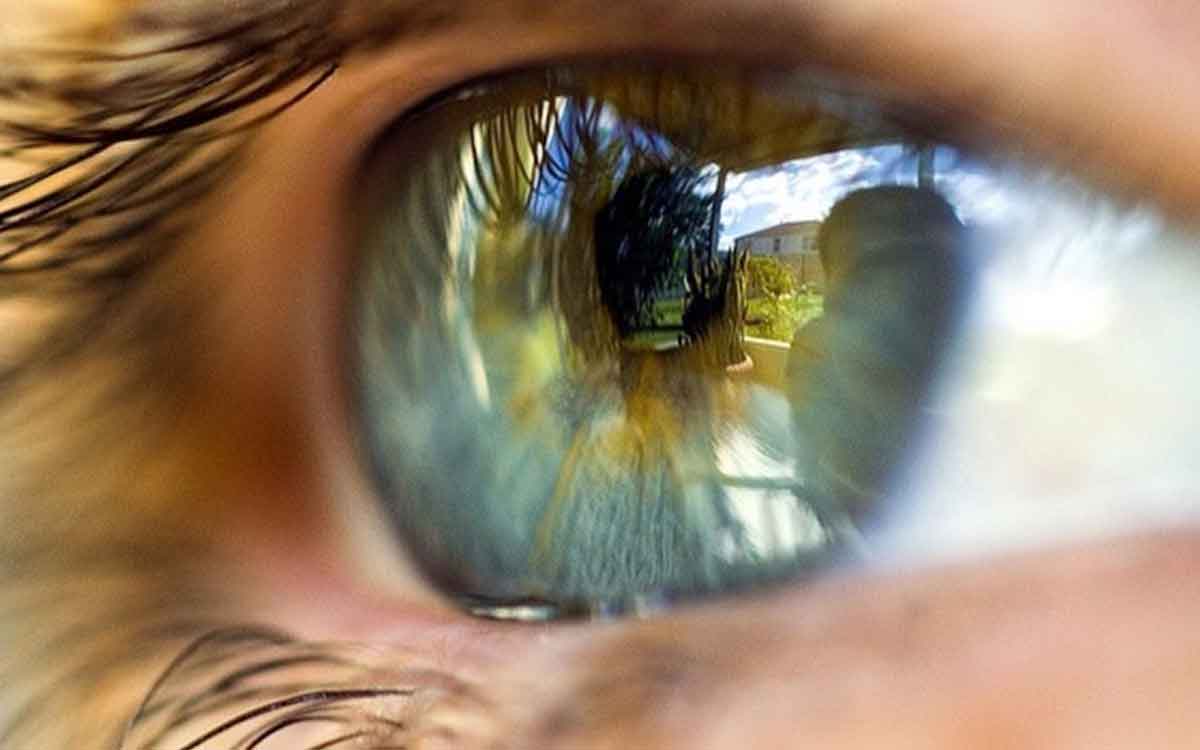 Foods For Eye Sight | ఈ ఆహారాల‌ను తింటే చాలు.. క‌ళ్ల‌ద్దాల‌ను తీసి ప‌డేస్తారు..!