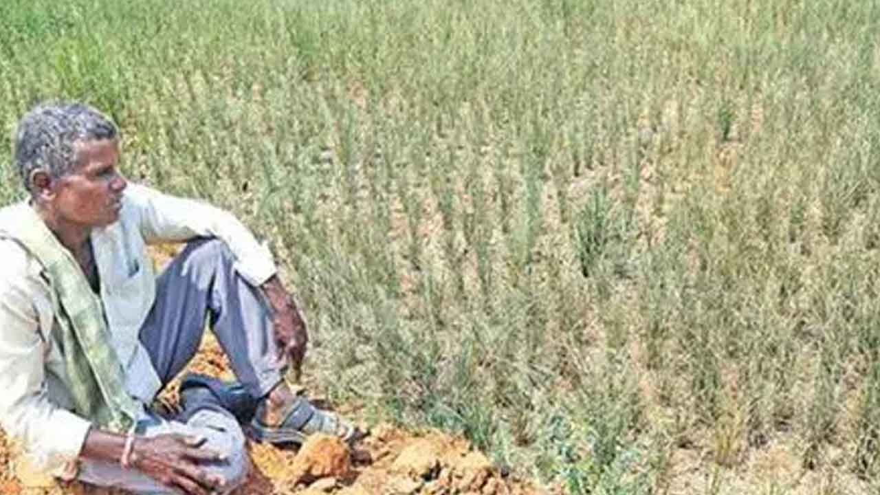 రైతాంగం ఆగమాగం