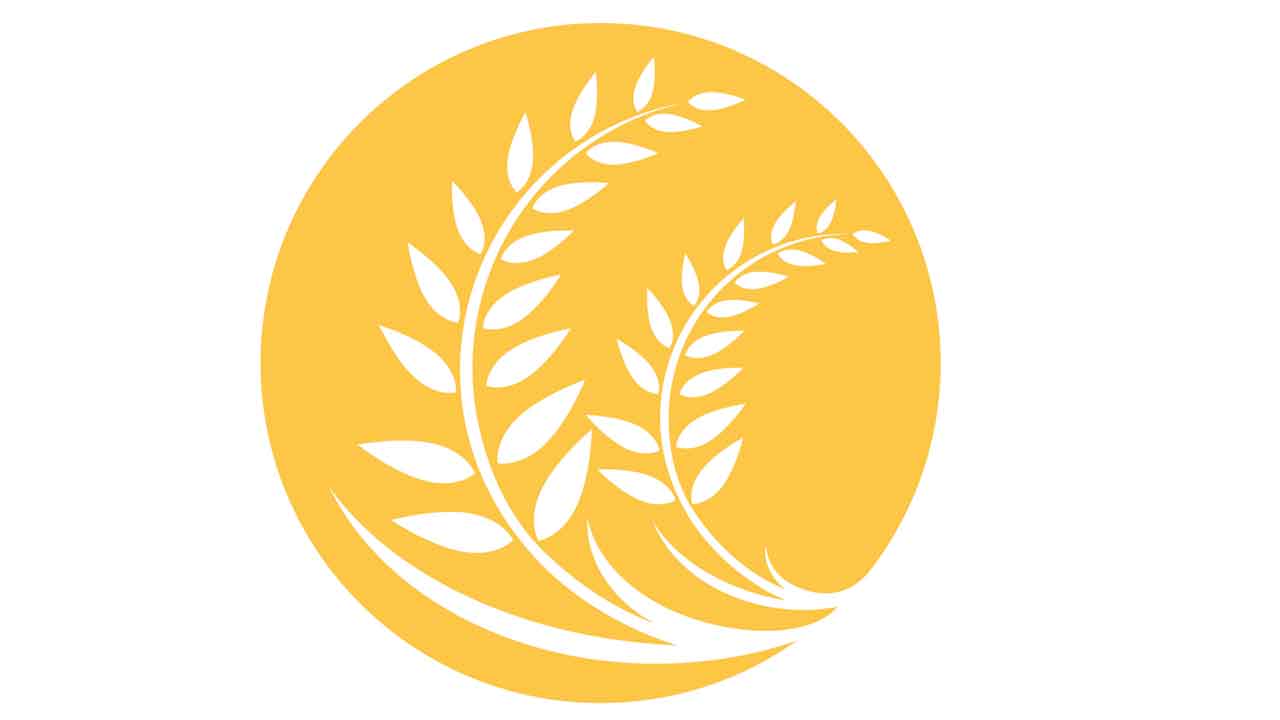 Grain