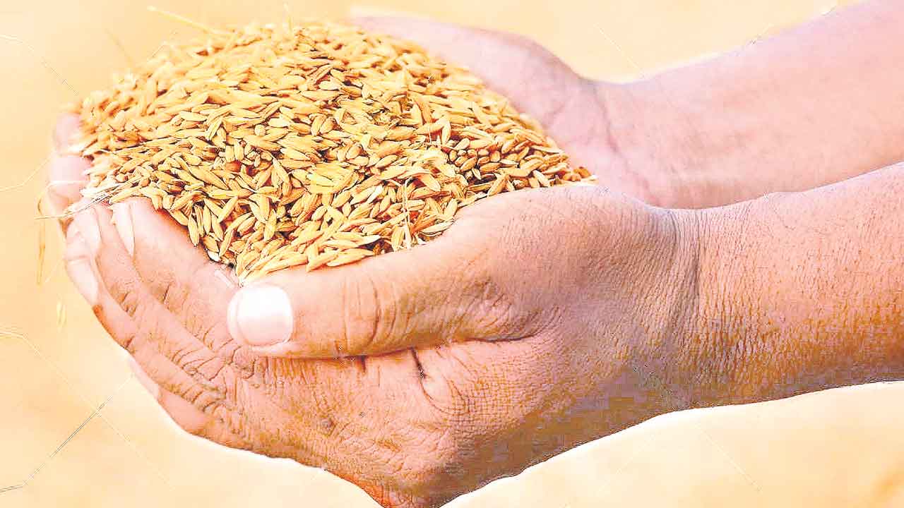 Grain