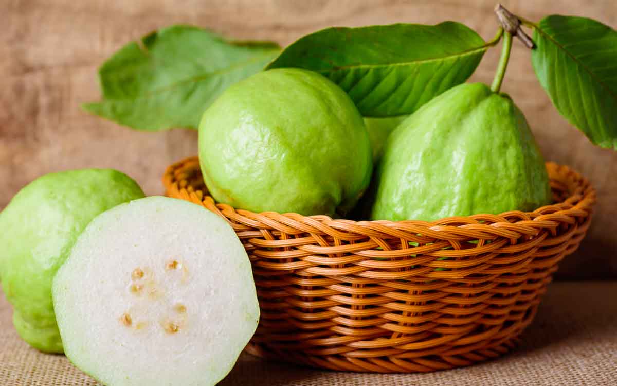 Guava | రోజుకు ఒక జామ‌కాయ‌ను తింటే శ‌రీరంలో జ‌రిగే మార్పులు ఇవే..!