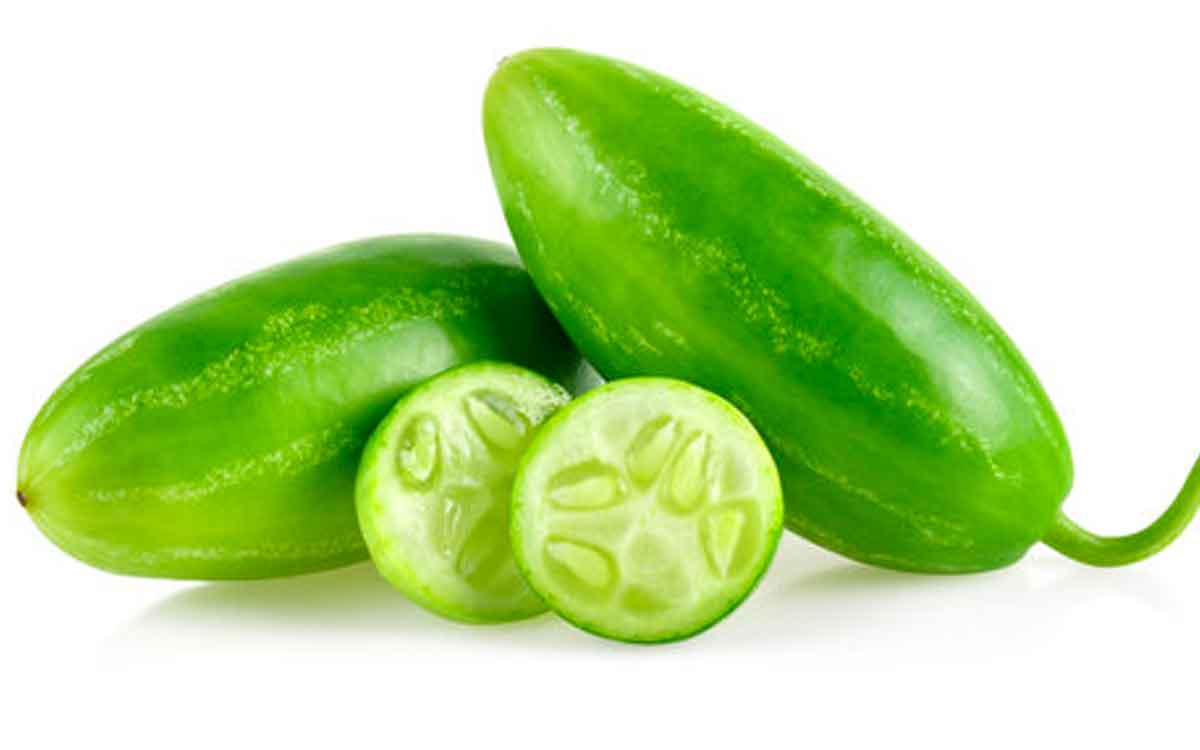 Ivy Gourd | రోజూ ఒక క‌ప్పు దొండ‌కాయ‌ల‌ను తింటే ఏం జరుగుతుందో తెలుసా..?