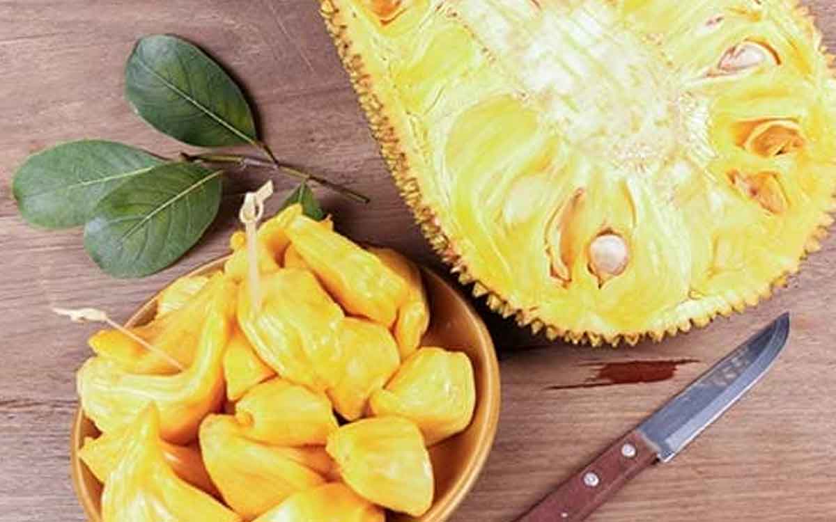 Jackfruit | పనస పండ్లను కచ్చితంగా ఆహారంలో భాగం చేసుకోవాల్సిందే.. ఎందుకంటే..?