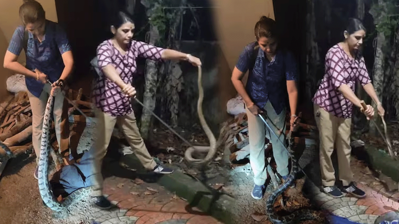 Kerala2