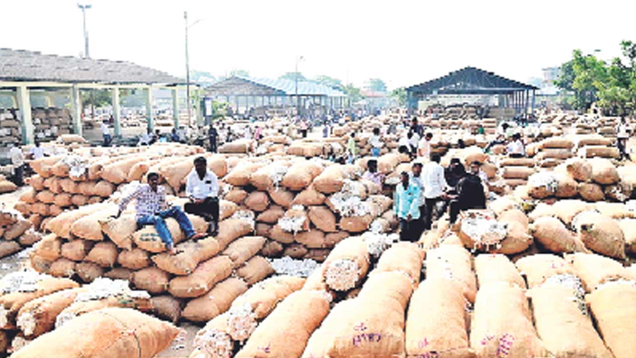 సీసీఐ కేంద్రం.. తూతూమంత్రం