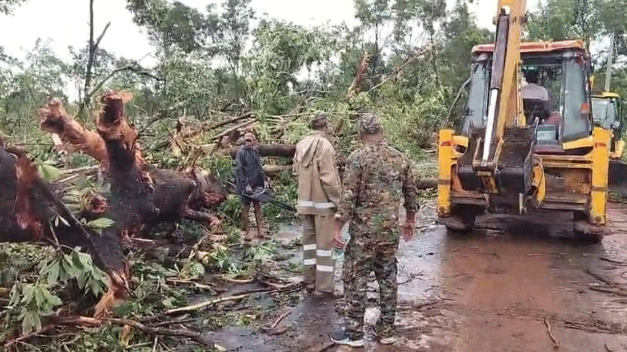 Medaram Earthquake: ల‌క్ష చెట్లు కూలిన 95 రోజుల్లోనే 5.3 తీవ్ర‌త‌తో భూకంపం.. మేడారంలో ఏం జ‌రుగుతోంది?