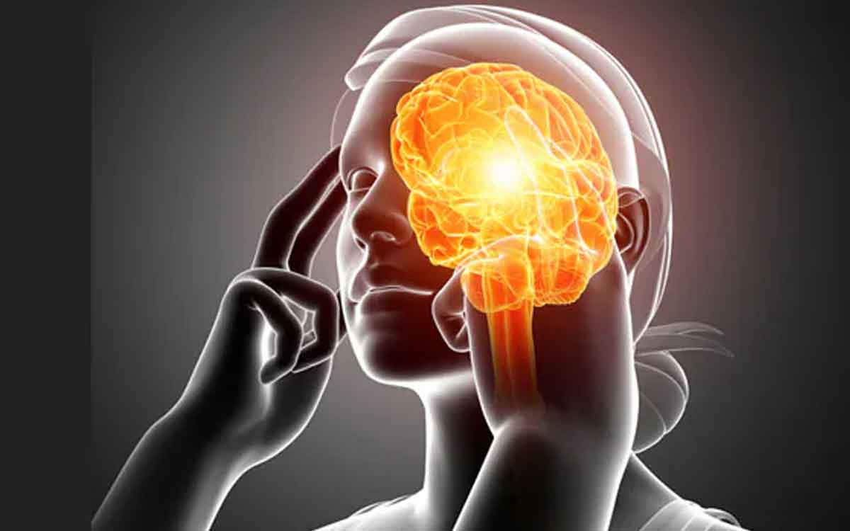 Foods For Memory Power | ఈ ఫుడ్స్‌ను మీరు రోజూ తింటే మీ జ్ఞాప‌క‌శ‌క్తి 10 రెట్లు పెరుగుతుంది..!