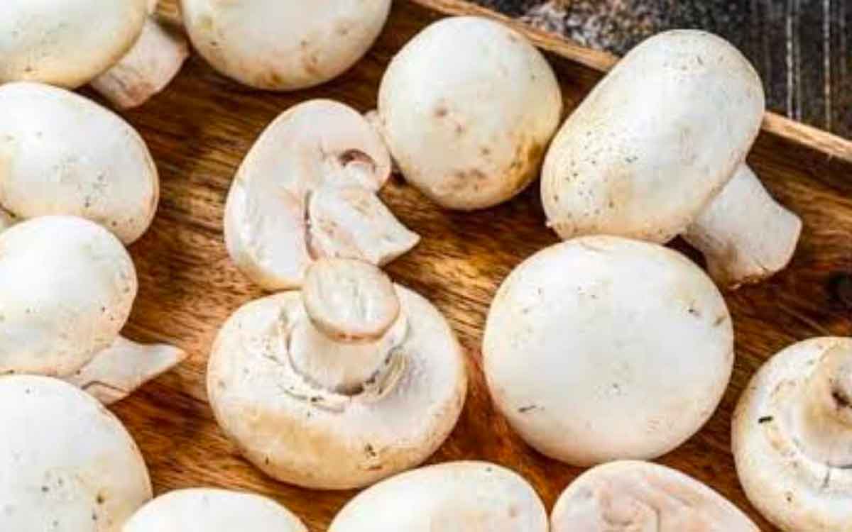 Mushrooms | రోజూ కేవ‌లం 5 పుట్ట‌గొడుగుల‌ను తింటే చాలు.. ఎన్నో లాభాల‌ను పొంద‌వ‌చ్చు..!