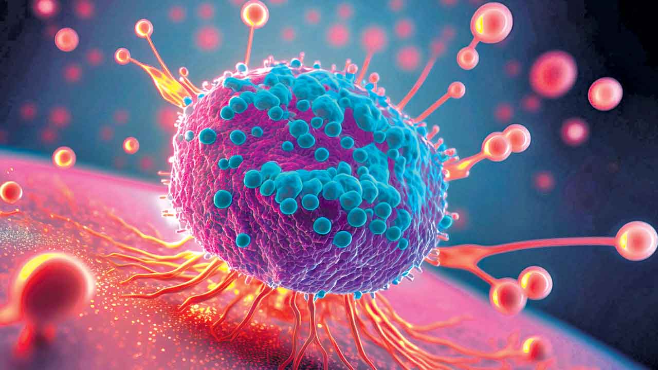 Pancreatic Cancer 2
