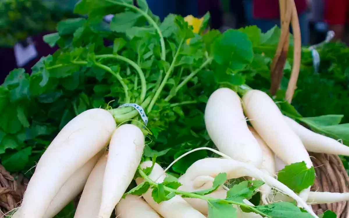 Radish Leaves Benefits | ముల్లంగి తిని ఆకుల‌ను ప‌డేస్తున్నారా.. ఇవి తెలిస్తే ఇక‌పై అలా చేయ‌రు..!