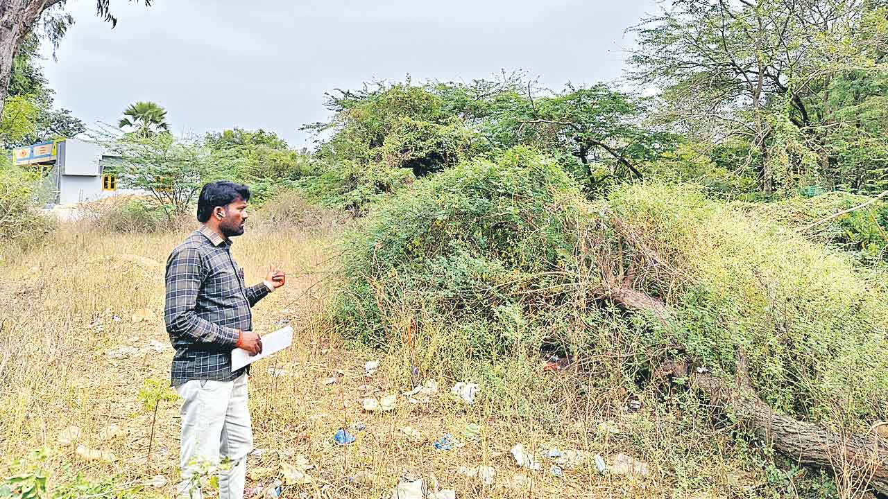 ప్రభుత్వ ఆదేశాలతో భూ విచారణ