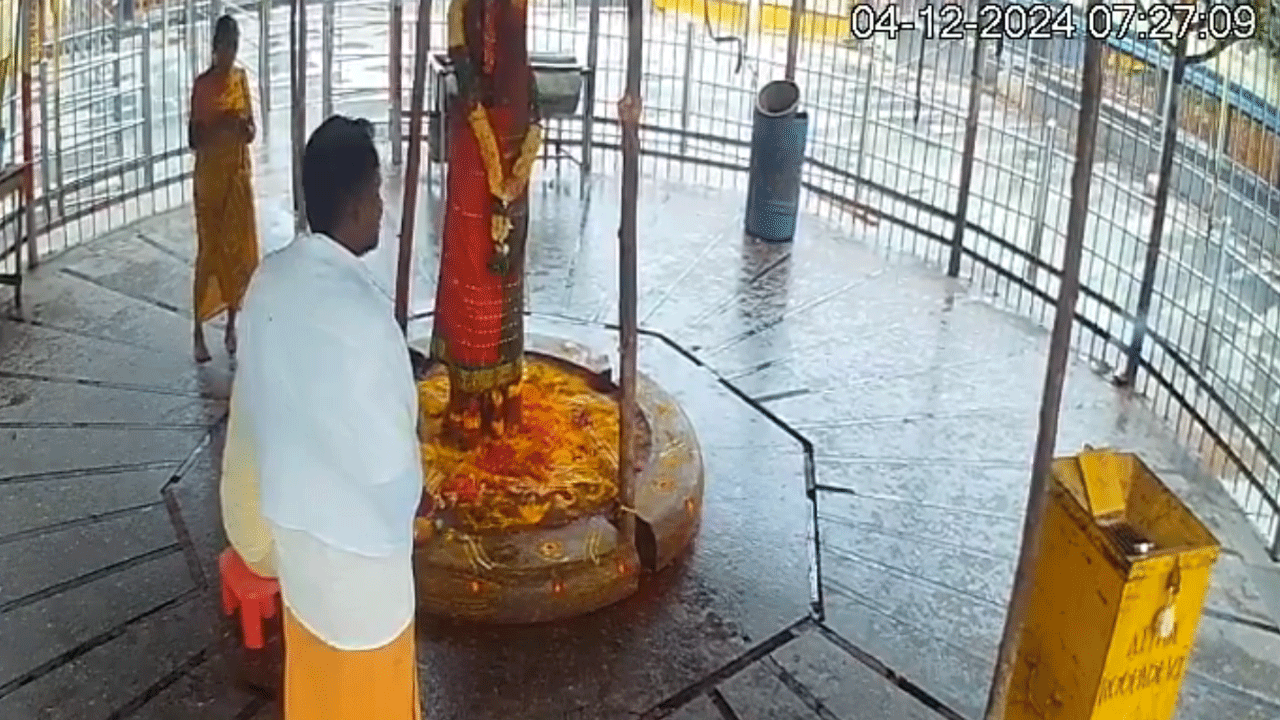 Medaram Earthquake: వ‌ణికిన స‌మ్మ‌క్క‌-సార‌క్క గ‌ద్దెలు.. ఊగిన ఇనుప‌ గ్రిల్స్‌.. సీసీ కెమెరాల‌కు చిక్కిన వీడియో