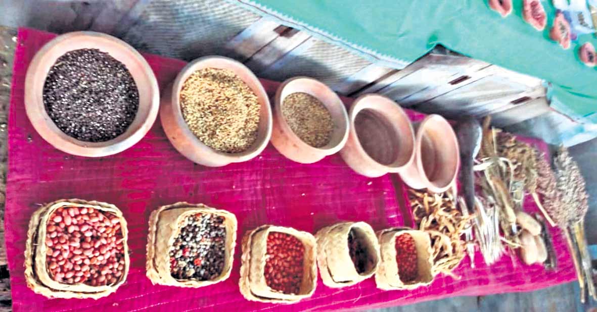 Seed Preservation Darlapudi