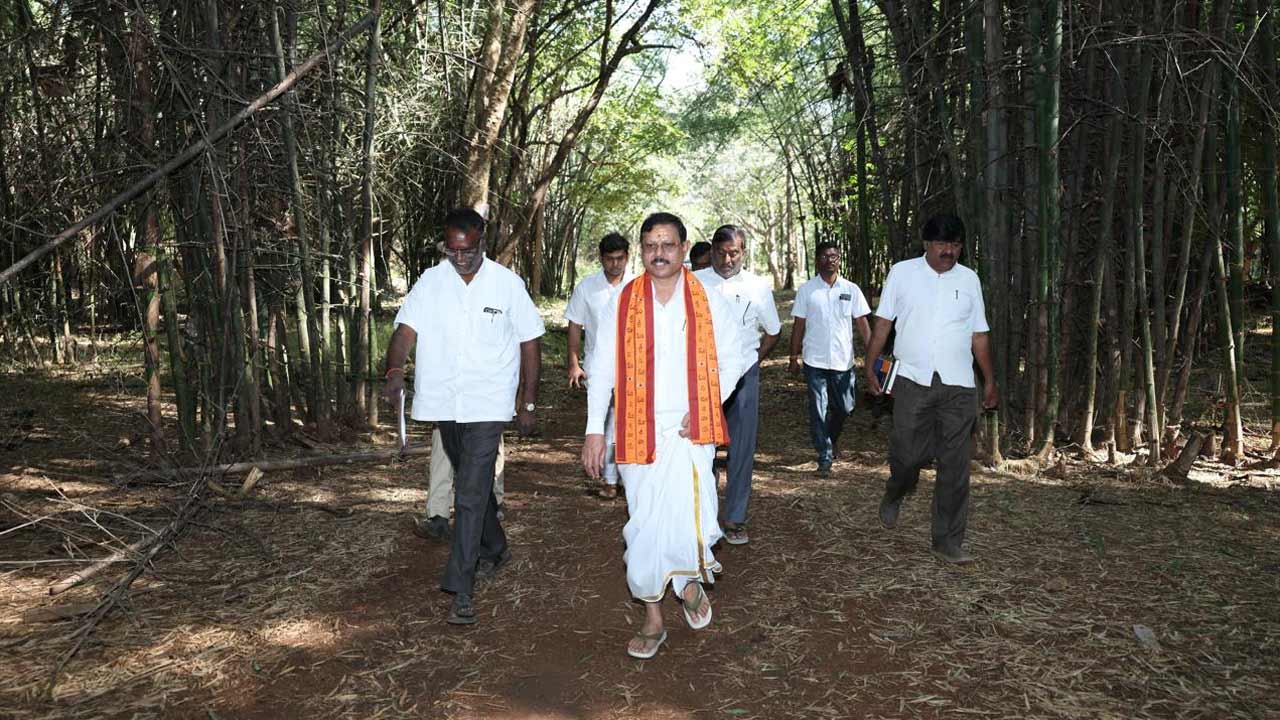 Srisailam | దామెర్లకుంట – పెద్దచెరువులో బ్రహ్మోత్సవాల ఏర్పాట్లను పరిశీలించిన శ్రీశైల ఆలయ ఈవో