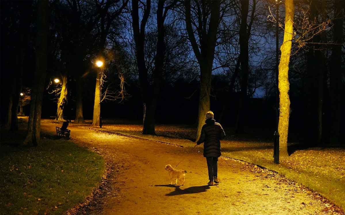 Walking After Dinner | రాత్రి పూట డిన్న‌ర్ చేశాక వాకింగ్ చేస్తే.. ఎన్నో అద్భుత‌మైన ఫ‌లితాలు..!