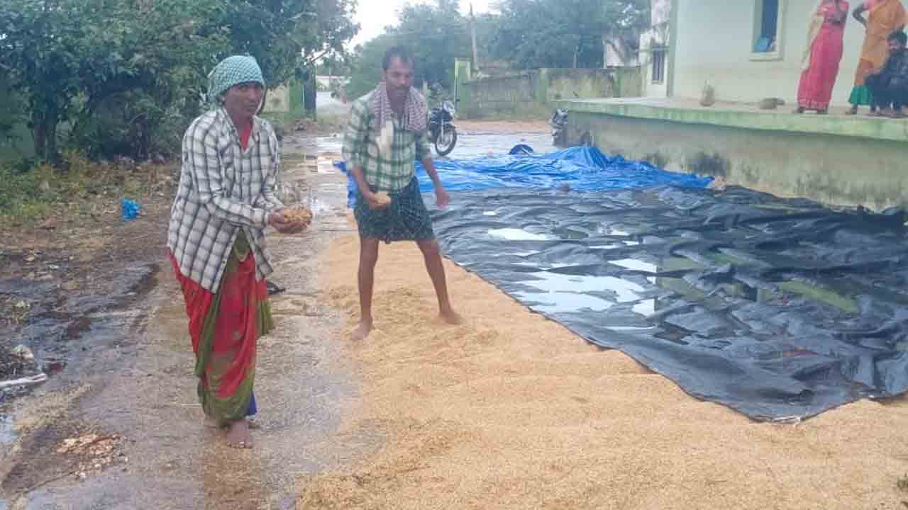 రైతులపై ప్రకృతి కన్నెర్ర