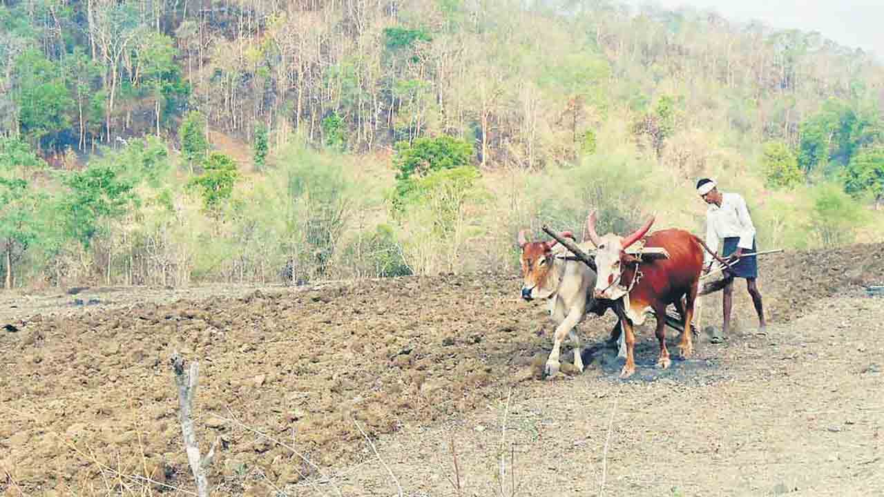 Sircilla | నిబంధనల ప్రకారమే పట్టాలు.. సిరిసిల్ల కేంద్రంగా కక్ష రాజకీయాలు