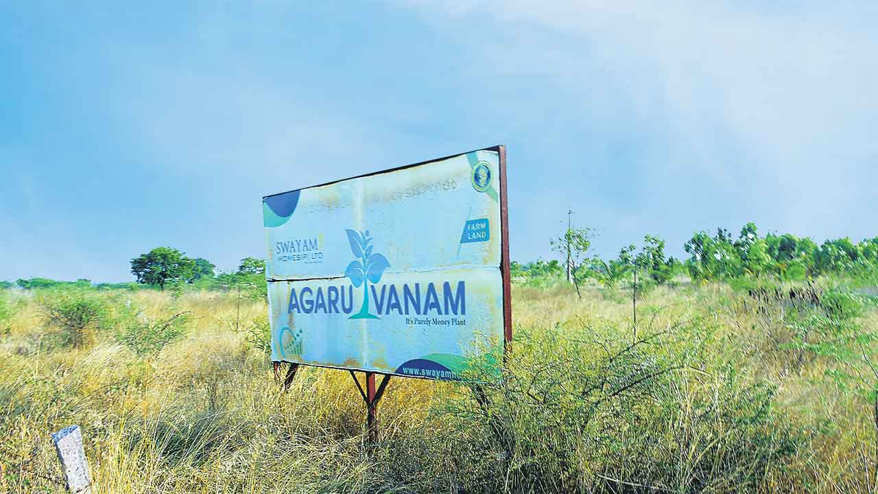 అగరువనం ఆరగింత!