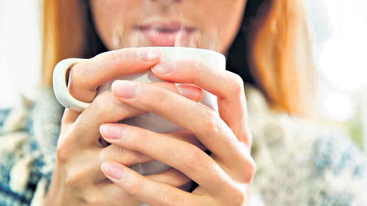 చలికాలంలో.. వేడివేడిగా!