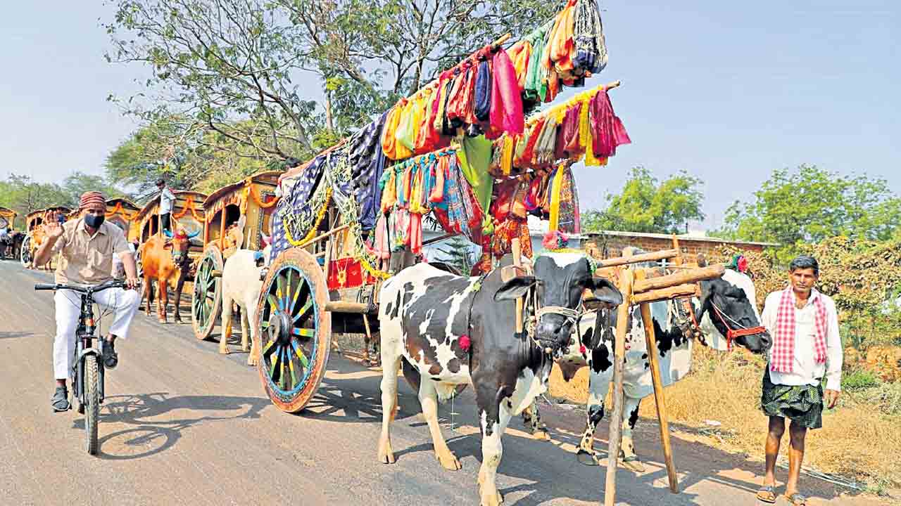 పాత పంటకు పాతికేళ్ల రక్ష