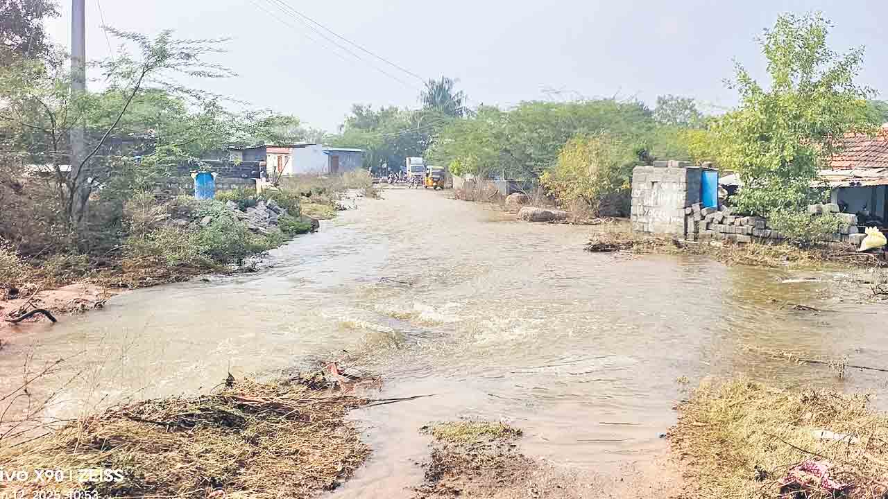 పండుగ పూట.. కన్నీటి వ్యథ