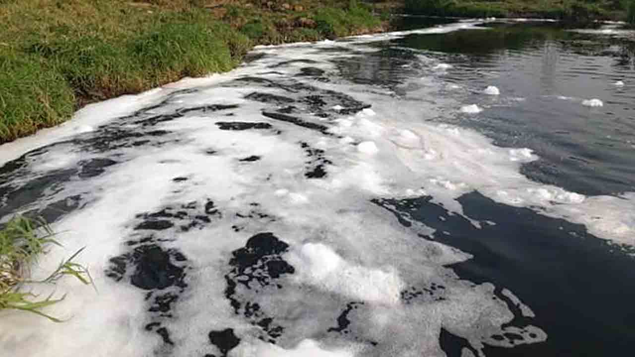 కెమిక్‌ లైఫ్‌సైన్స్‌పై యాక్షన్‌ ఏమైంది?