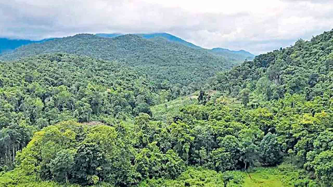 ఈ చెట్లు కాలుష్య నియంత్రికలు