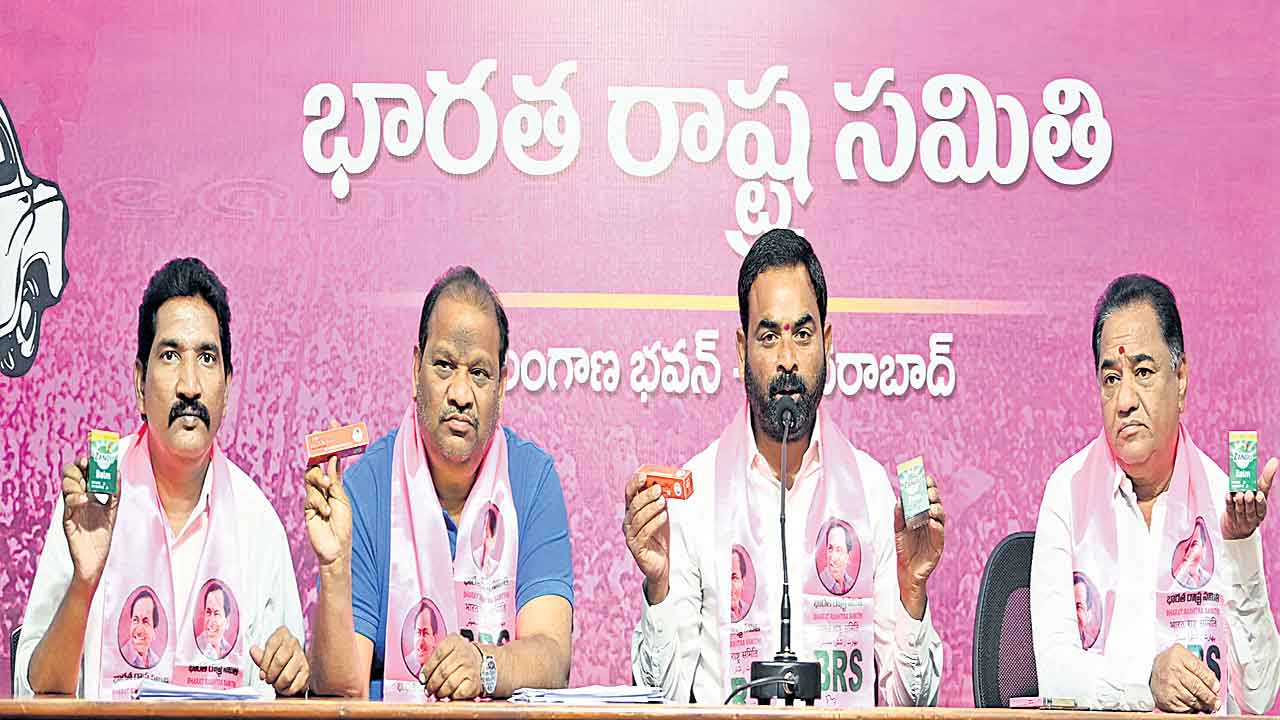 కార్యకర్తలకే పథకాలిస్తే గ్రామసభలెందుకు?