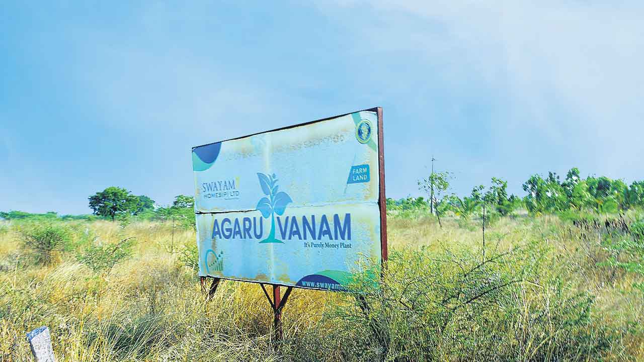 Congress | బినామీల పేరుతో కాంగ్రెస్‌ నేత భూదందా.. యాదగిరిగుట్ట సబ్‌ రిజిస్ట్రార్‌పై వేటు