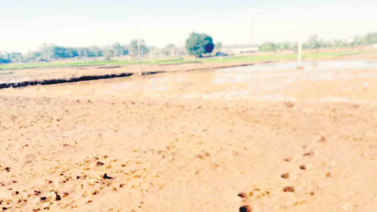 కరెంటు రాదు.. పొలం పారదు.. నాటేయరు!