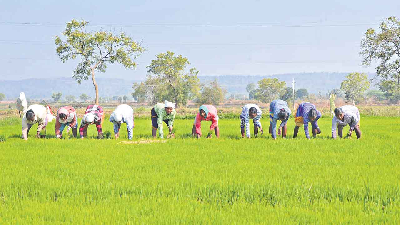 Rythu Bharosa | సాగుయోగ్యమైన భూమి 1.48కోట్ల ఎకరాలు.. ఇవ్వాల్సిన భరోసా 8,880 కోట్లు.. మరి సర్కార్‌ ఇచ్చేదెంత?