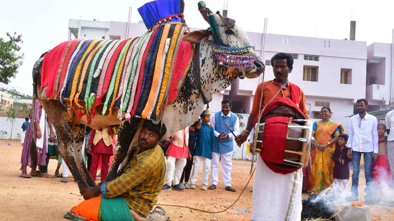 సంక్రాంతి వచ్చిందోచ్‌..