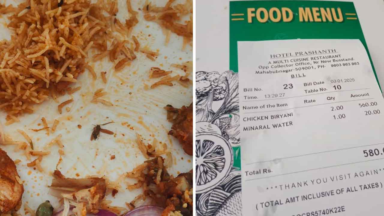 బిర్యానీలో బొద్దింక