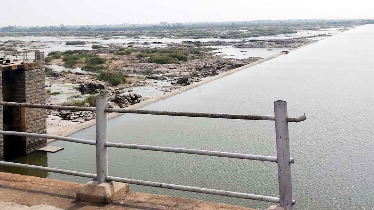 ఆర్డీఎస్‌ @ ఎనిమిది అడుగులు