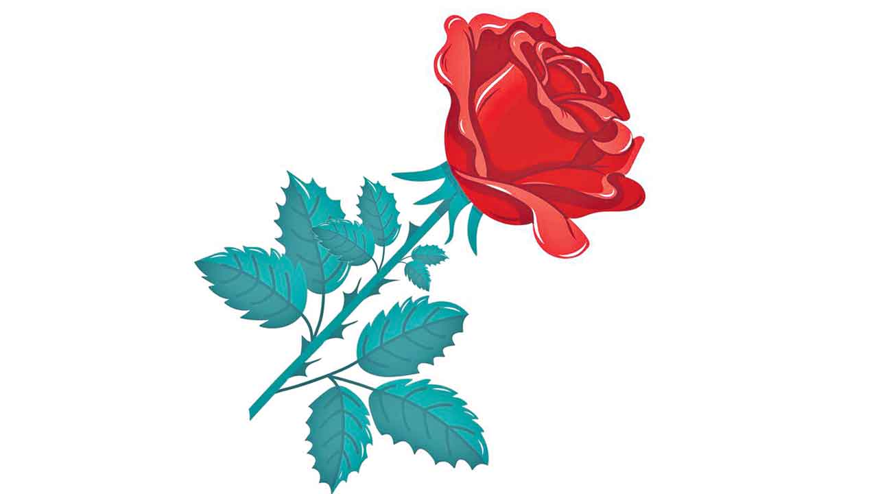 గులాబీల అందం ముందు.. ముళ్ల బాధ ఎంత?