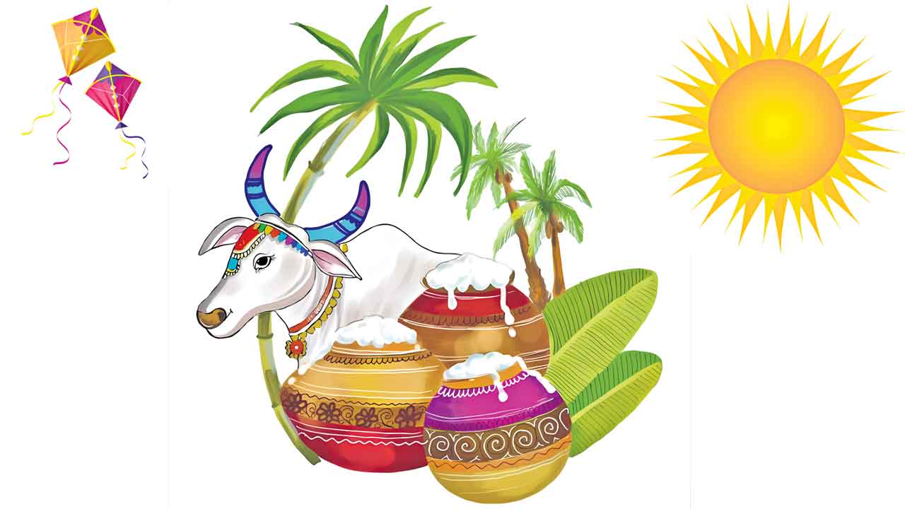 Sankranti | తెలుగు లోగిళ్లను.. వెలుగు వాకిళ్లుగా మార్చే ముచ్చటైన సంక్రాంతి