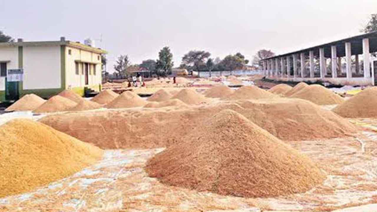 Telangana | ఈ 10 పంటలకు కాంగ్రెస్‌ ఇస్తామని చెప్పిన బోనస్‌ ఏది?