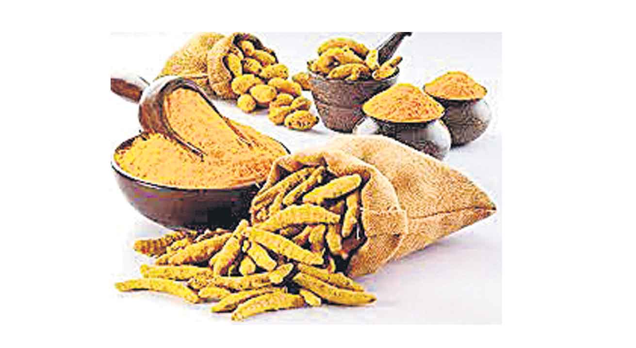 Armour Turmeric | ఆర్మూర్‌ పసుపునకు జీఐ ట్యాగ్‌