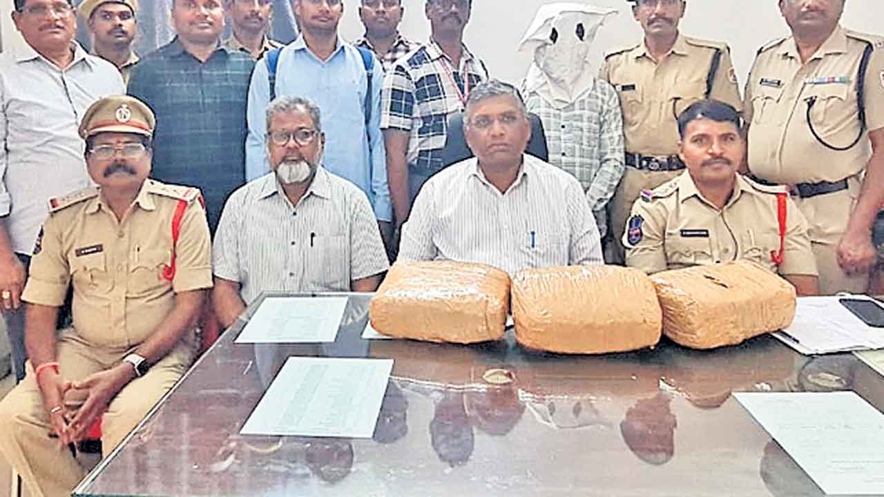 ఒడిశా నుంచి మహారాష్ట్రకు గంజాయి రవాణా..