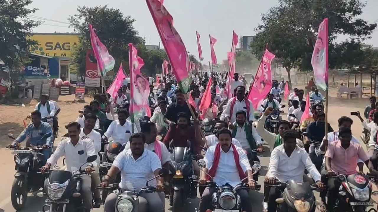 దారులన్నీ గులాబీమయం