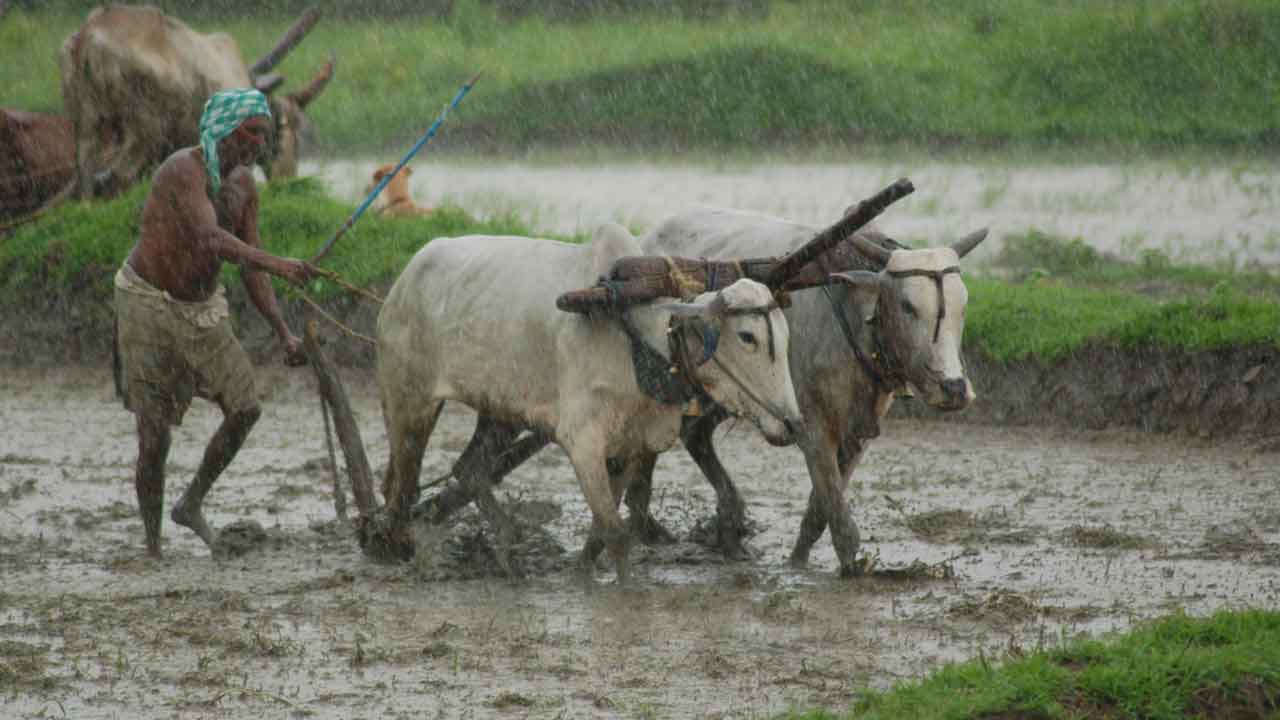 కౌలు రైతులకు భరోసా దక్కేనా