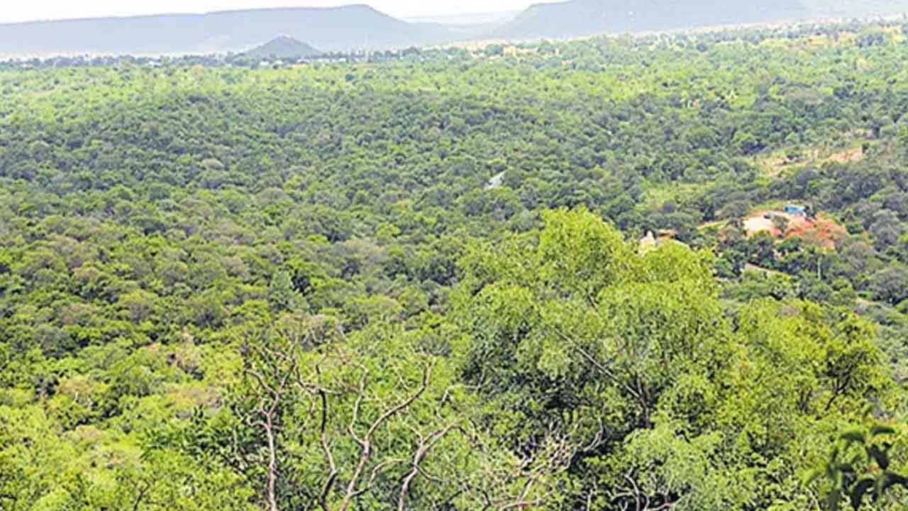 నల్లమలలో వన్యప్రాణుల లెక్కింపు