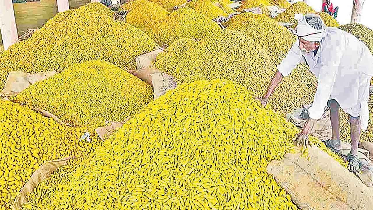 పసుపు బోర్డు ముందు సవాళ్లు ఎన్నో..