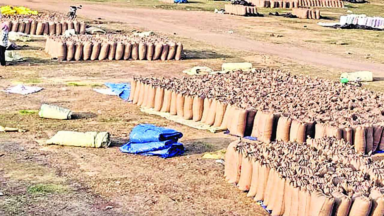 కలెక్టర్‌ చెప్పినా కదలని ధాన్యం